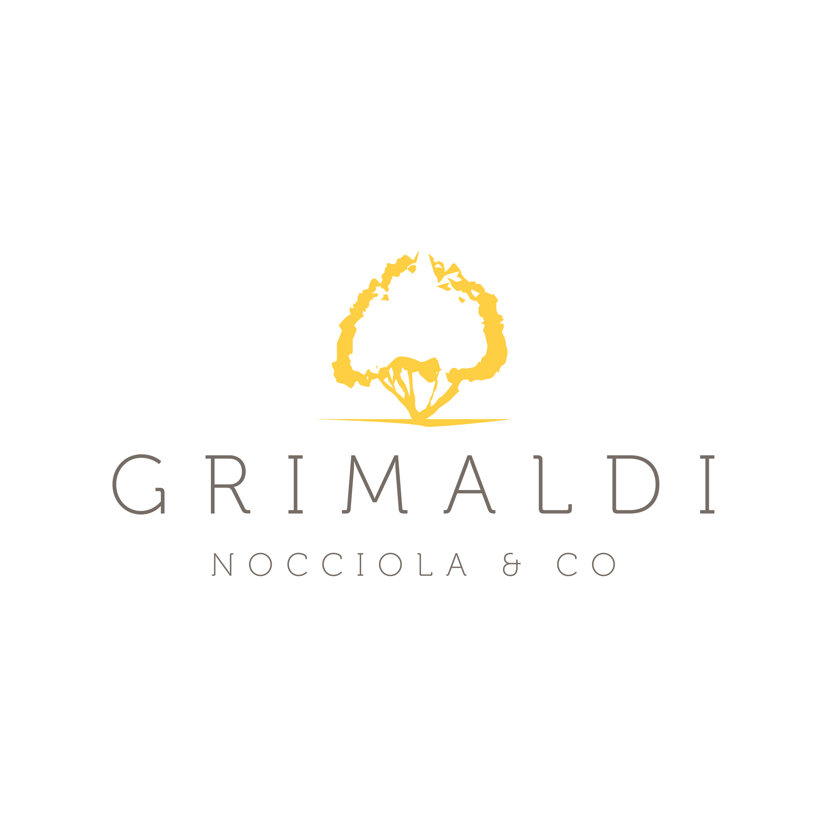 logo-grimaldi_Tavola-disegno-1