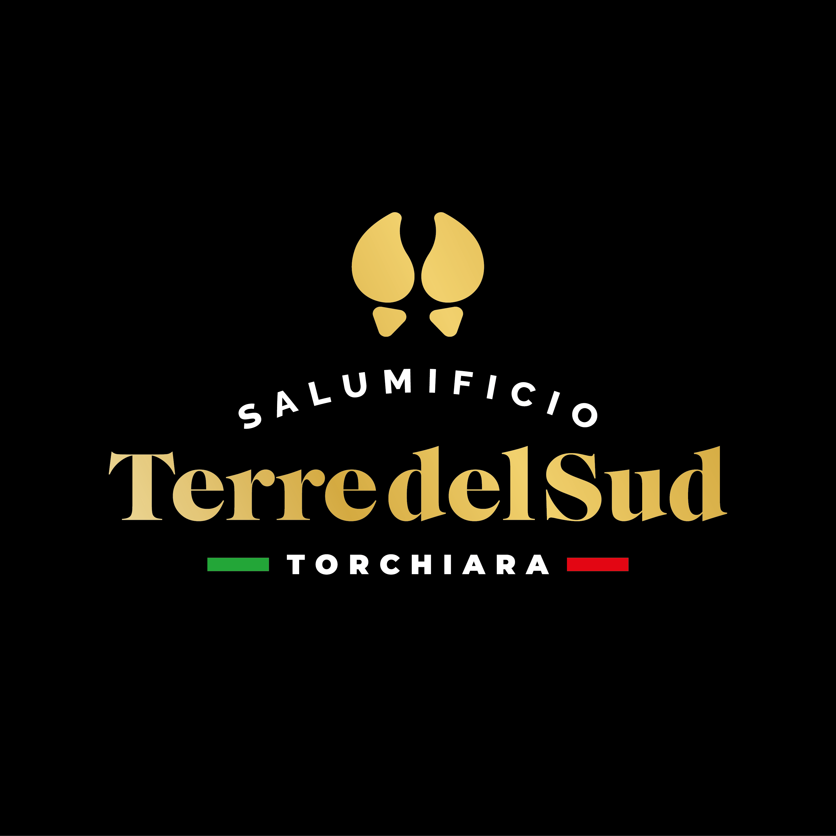 logo-terre-del-sud_Tavola-disegno-1